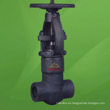Válvula de compuerta de sello de presión de acero compacta de 2500 lb (GAZ41H)